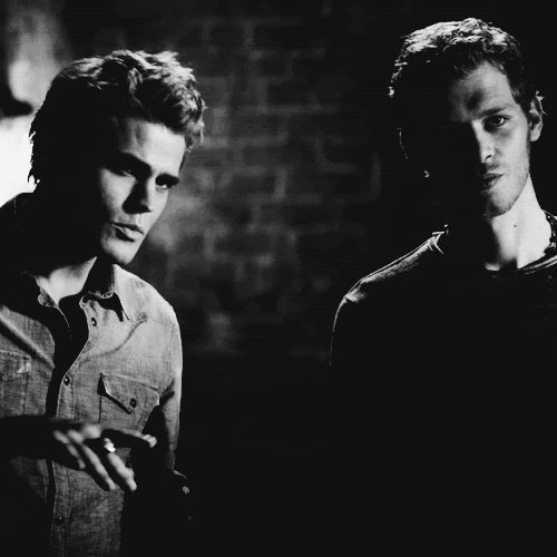 Adventures of a New Adult